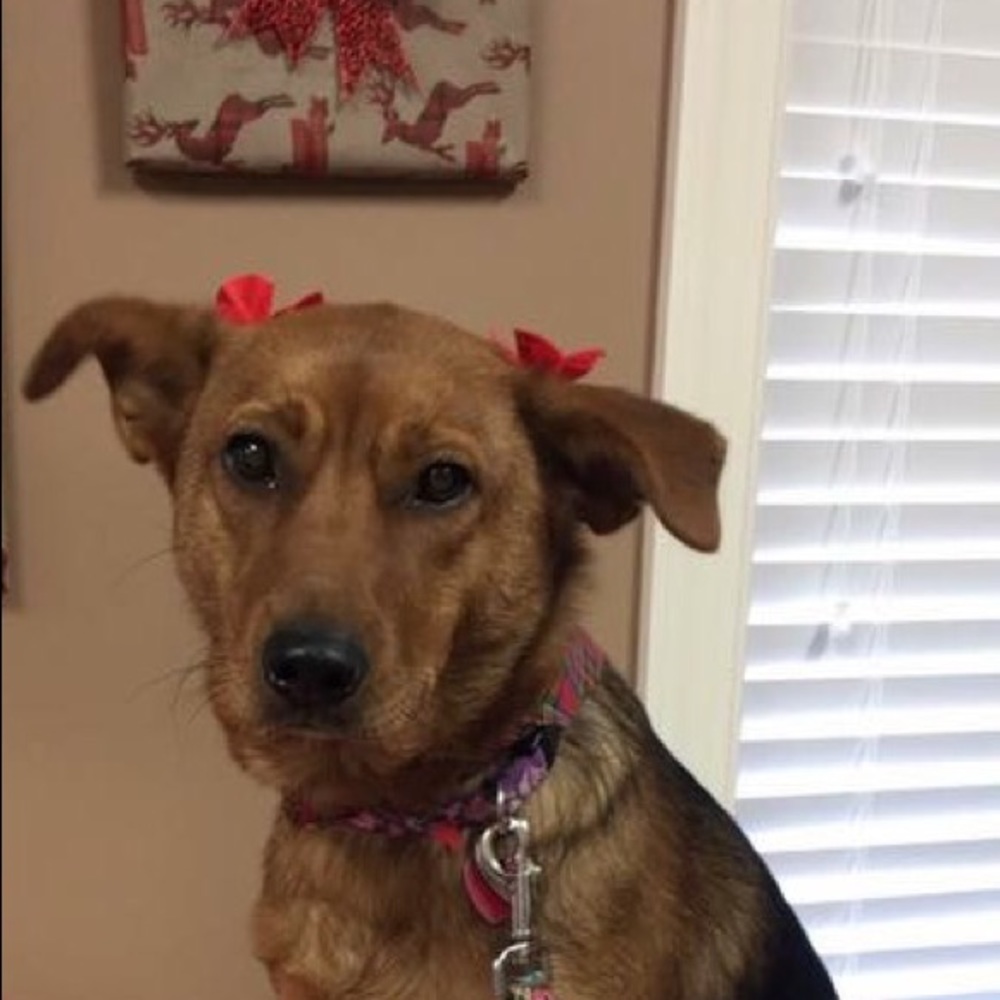 Meet your Posher, Mimi